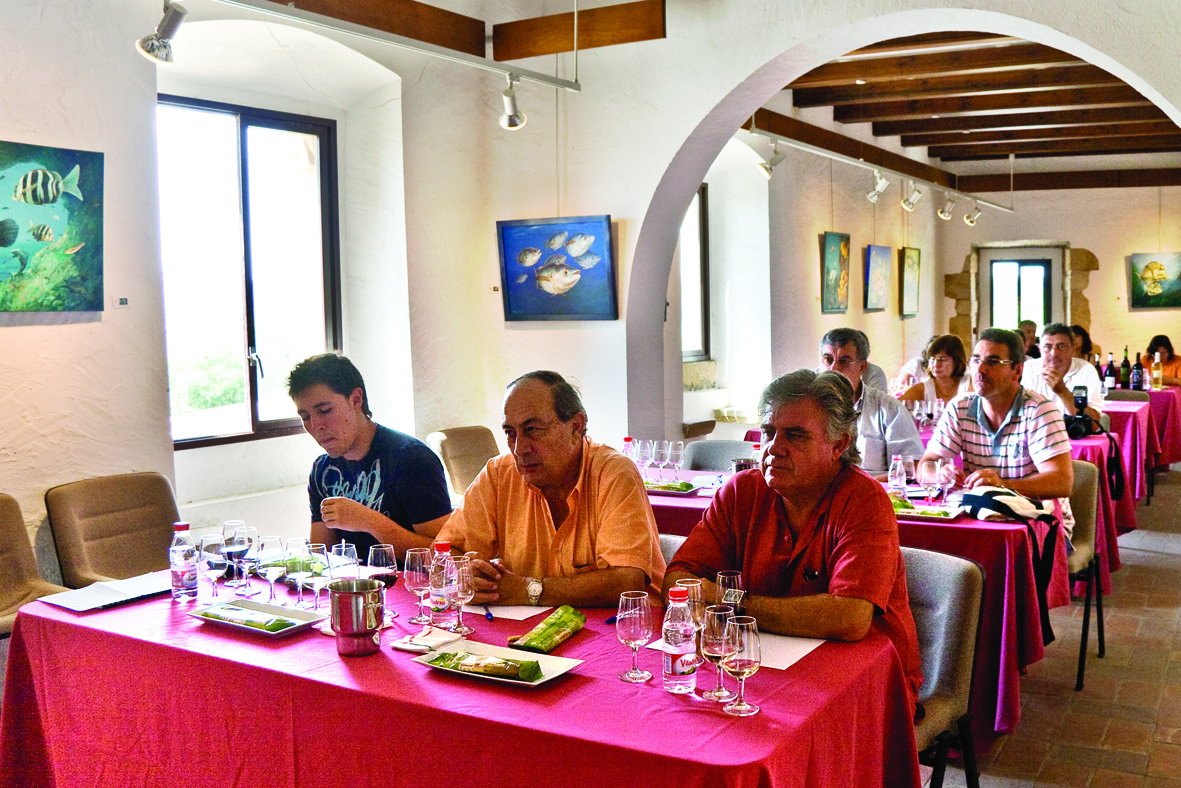 Cata de vinos y cavas de Cataluña